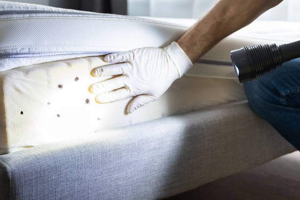 Best Commercial Pest Control Services  in Bala Cynwyd, PA