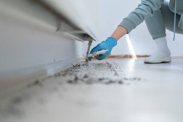 Wildlife Control Services in Bala Cynwyd, PA